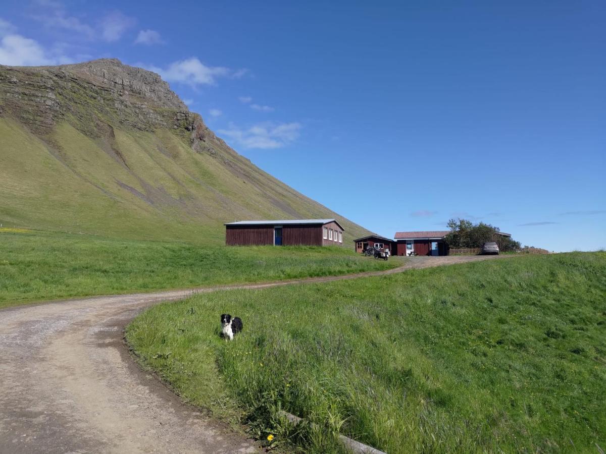 Rauthsdalur Villa Brjanslaekur Eksteriør bilde
